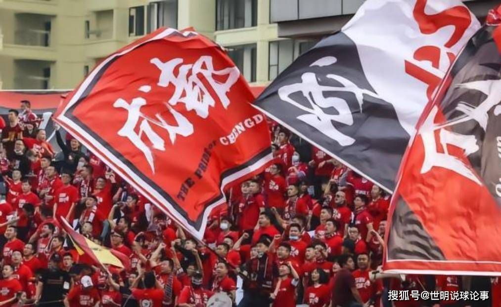 比如有的佣兵组织一共就一百多号人，大家平时都有各自打掩护的身份与工作，装的像个守法公民，接到任务之后，再伪装成游客出境。